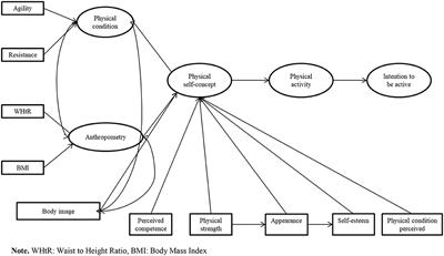 The Mediating Role of the Self-Concept Between the Relationship of the Body Satisfaction and the Intention to Be Physically Active in Primary School Students